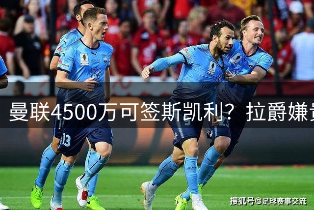 曼联4500万可签斯凯利？拉爵嫌贵已拒绝！但红魔仍未放弃追求霍尔