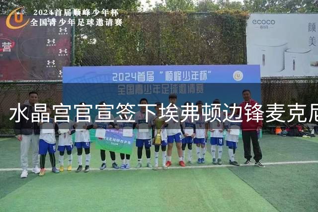 水晶宫官宣签下埃弗顿边锋麦克尼尔
